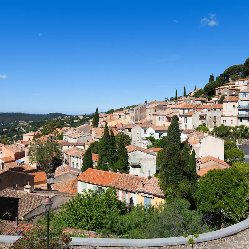 Service de pet sitting entre Le Lavandou et Bormes-les-Mimosas